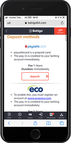 Capture d'écran mobile du paiement bahigo