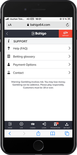Capture d'écran mobile du support bahigo
